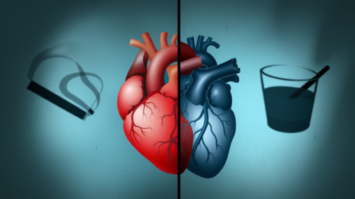 Read more about the article Impact of Smoking and Alcohol Against Heart Disease