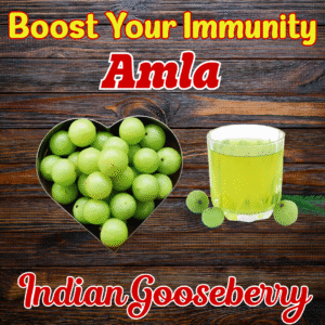 Read more about the article Boost Your Immunity Naturally: The Top Amla Health Benefits Revealed